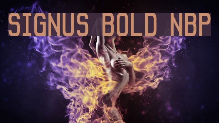Signus Bold NBP Font examples