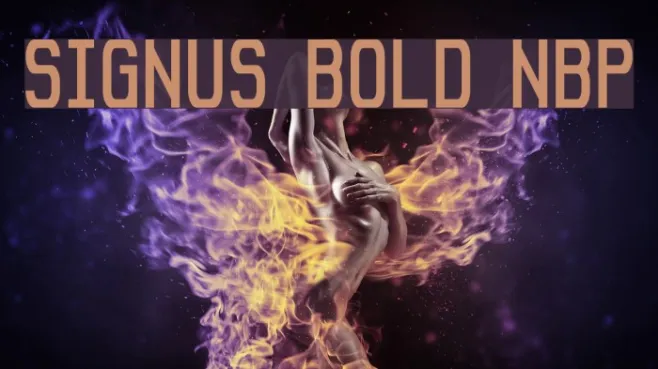 Signus Bold NBP Example 3