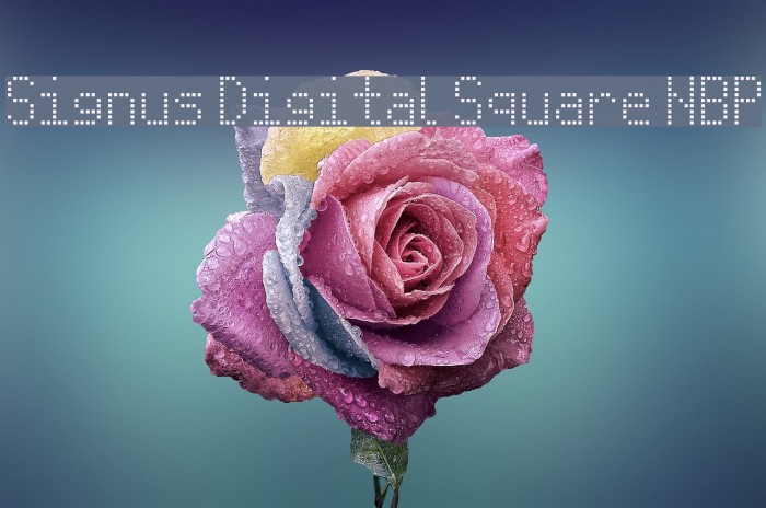 Signus Digital Square NBP Font examples