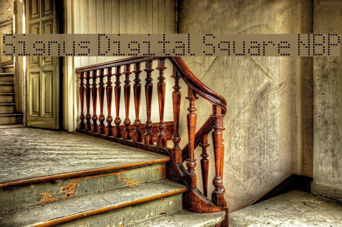 Signus Digital Square NBP Font examples
