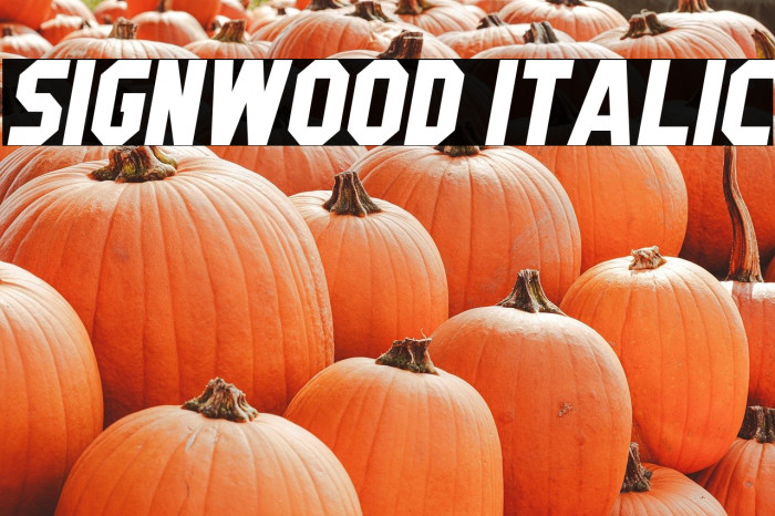 Signwood Italic Example 2