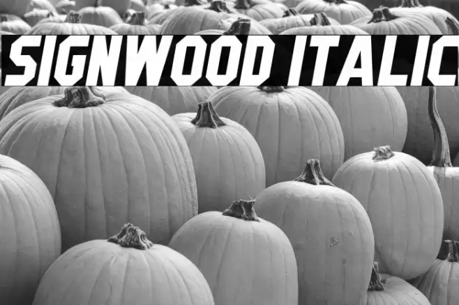 Signwood Italic Font examples