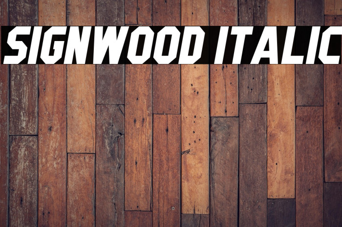 Signwood Italic Example 3