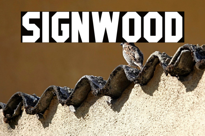Signwood Example 2