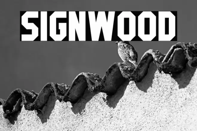 Signwood خط examples