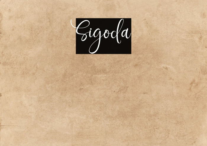 Sigoda Example 3