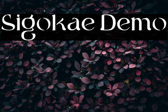 Sigokae Demo Example 1