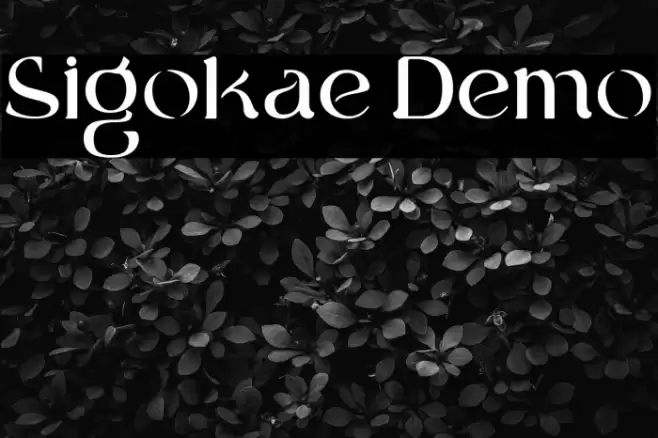 Sigokae Demo Polices examples
