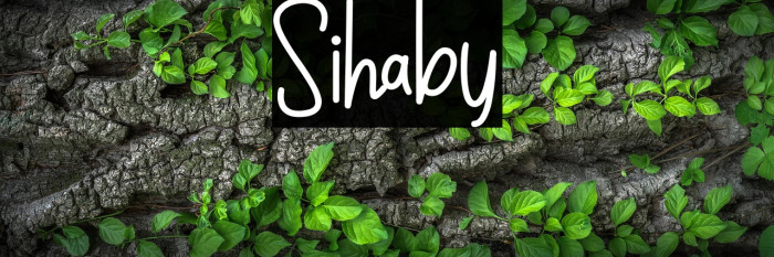 Sihaby Example 2