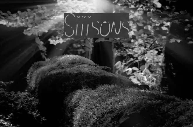 Siiisons Font examples