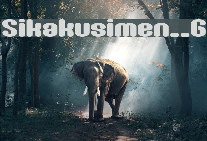 Sikakusimen__G Font examples