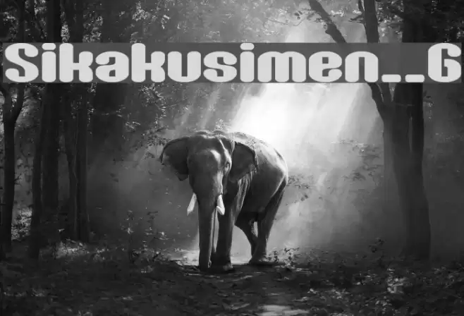 Sikakusimen__G Font examples