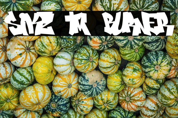 Sikz Tm Burner Example 1