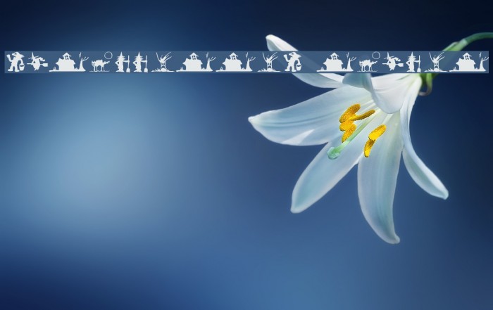 SilBooettes Tryout Example 2