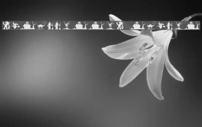 SilBooettes Tryout Font examples