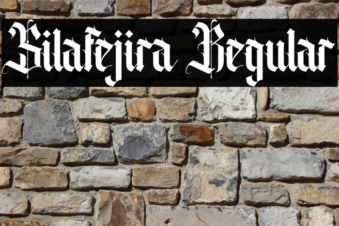 Silafejira Regular Example 1