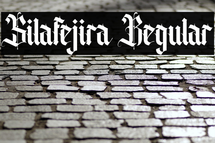 Silafejira Regular Example 2
