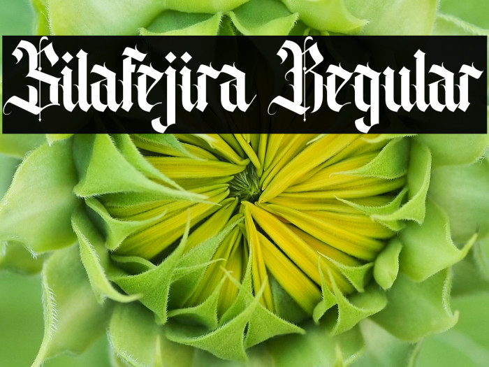 Silafejira Regular Example 3