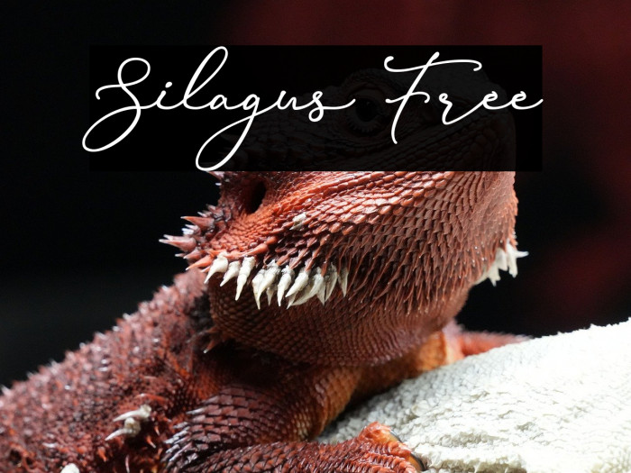 Silagus Free Example 1