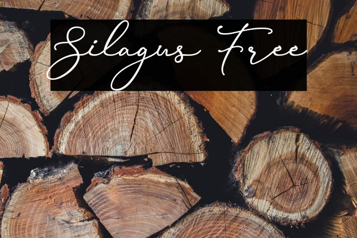 Silagus Free Example 3