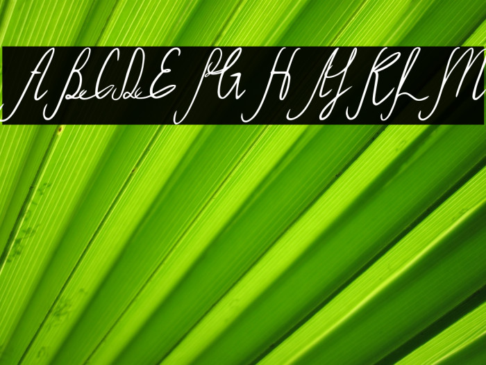 Sild Italic Example 2