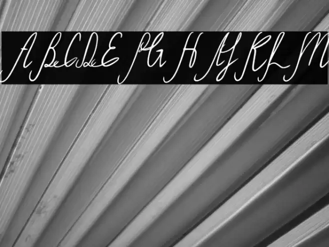 Sild Italic Font examples