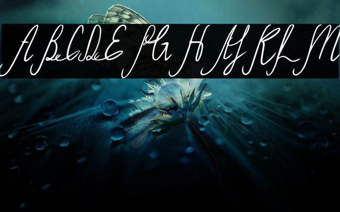 Sild Italic Example 3