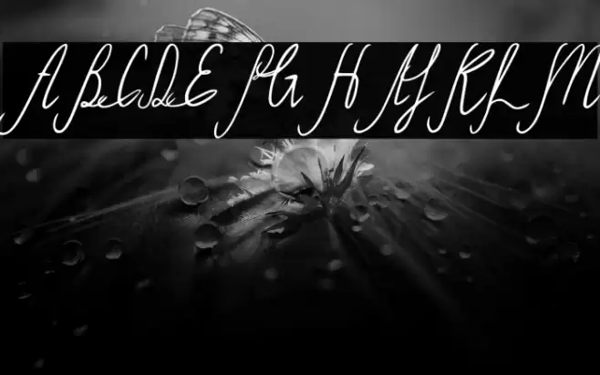 Sild Italic Font examples