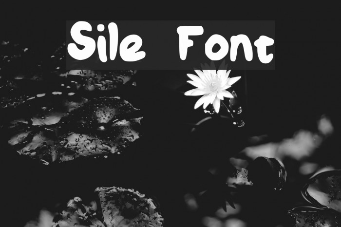 Sile Font examples