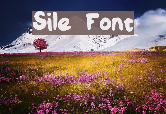 Sile Font examples