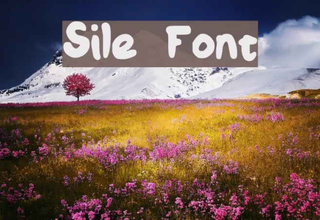 Sile Example 3