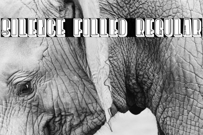 Silence Filled Regular Example 1