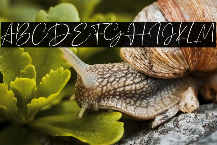 Silence Rocken Example 2