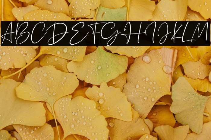 Silence Rocken Example 3