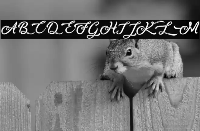 Silent Asia - Personal Use Font examples