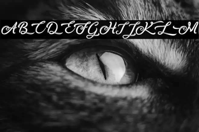 Silent Asia - Personal Use Font examples