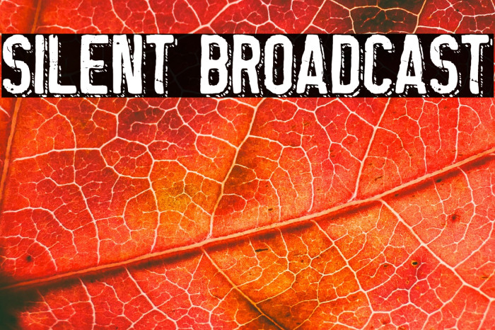 Silent Broadcast Example 1