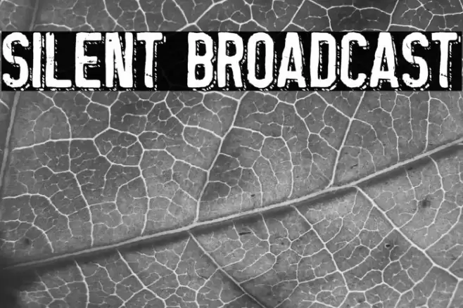Silent Broadcast Schriftart examples