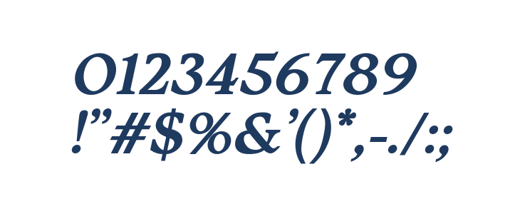 Silent Citadel Bold Italic Other Characters