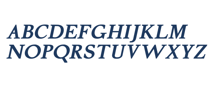 Silent Citadel Bold Italic Uppercase