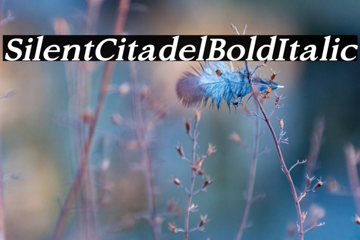 Silent Citadel Bold Italic Example 1