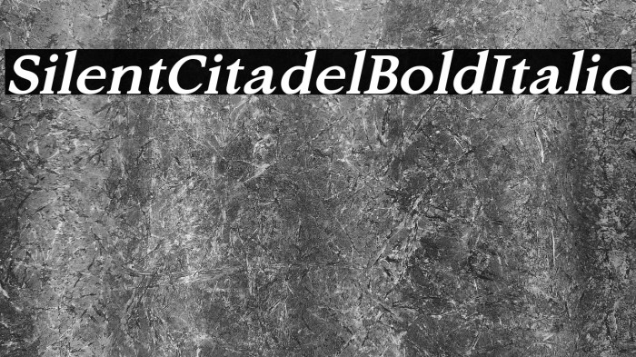Silent Citadel Bold Italic Example 2