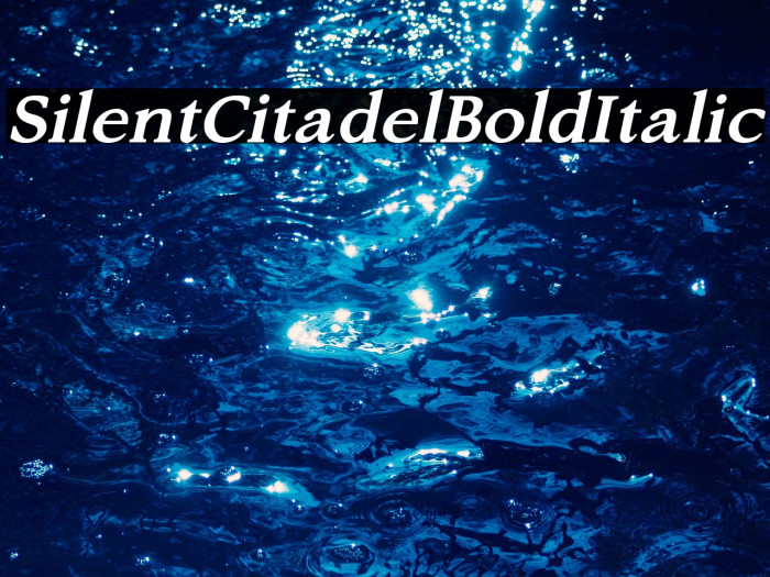 Silent Citadel Bold Italic Example 3