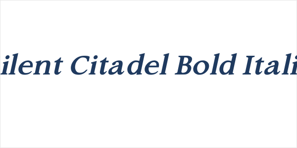 Silent Citadel Bold Italic Logo