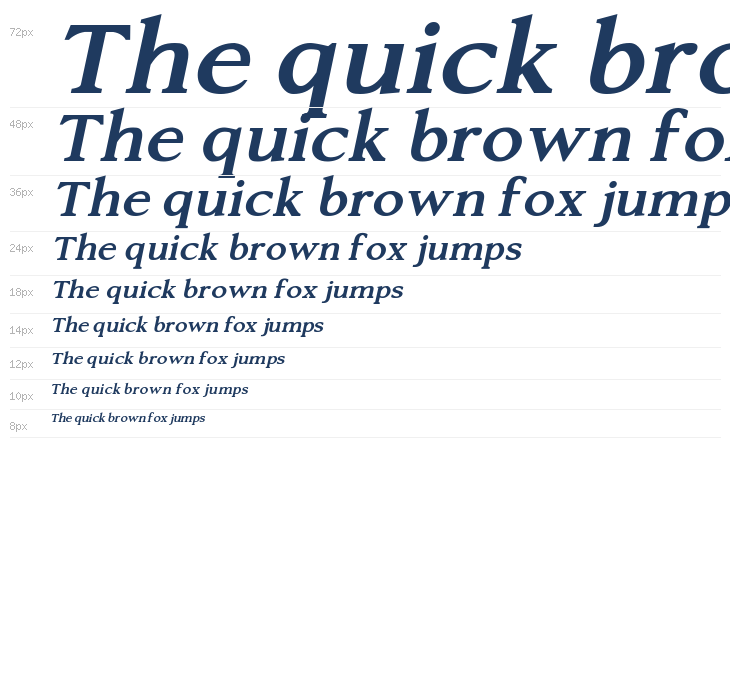 Silent Citadel Bold Italic Waterfall