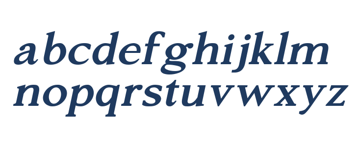 Silent Citadel Bold Italic Lowercase