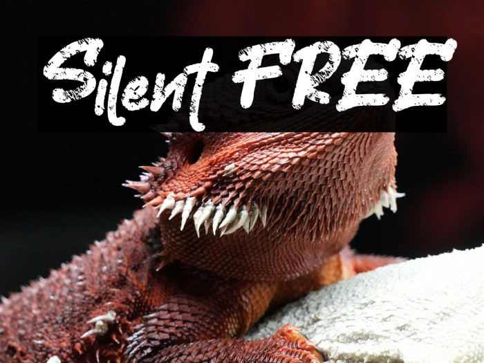 Silent FREE Example 3