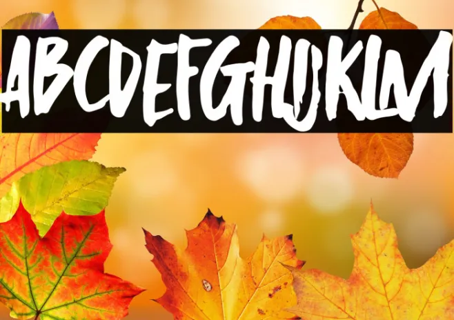 Silent Forest Example 2