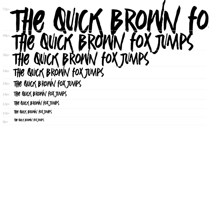 Silent Forest Waterfall