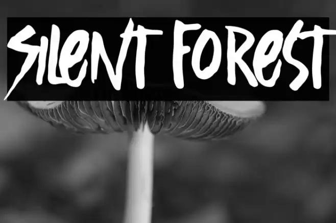 Silent Forest Font examples